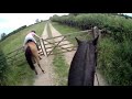 friesian horse apollo galloping in slow mo. we check out a narrow horse bridge.