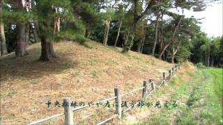 上侍塚古墳2（中期））（栃木県）Kamisamuraizuka Tumulus 2(Tochigi Pref.)