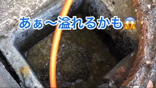 【閲覧注意】外にある排水桝をポータブル高圧洗浄機でチマチマと洗管作業❣️