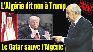 👍Algérie rejette la décision de Trump envers Maroc, Qatar sauve l'Algérie avec immense fortune