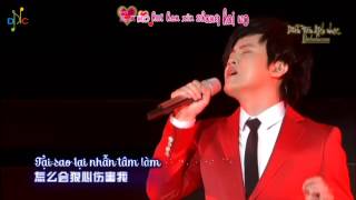 [Vietsub + Kara] 怎么会狠心伤害我 - Tại sao lại nhẫn tâm làm tổn thương anh - Trịnh Nguyên (Live)