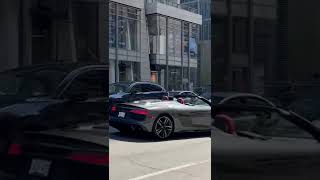 Insane Audi R8 V10 Spyder