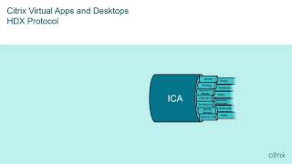 Citrix Tech Insight - Adaptive Display
