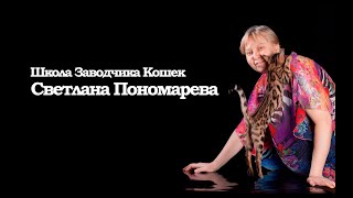 Удобное проживание человека и кошки