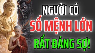 Người Có Số Mệnh Lớn – Vừa Là Phúc Cho Đời, Vừa Là Oán Cho Kẻ Ác