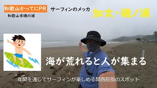 海が荒れると人が集まる　サーファーのメッカ【和歌山かってにＰＲ】第352回「加太・磯ノ浦」2023年6月12日　サーフィンの聖地　ニュース速報