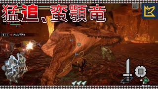 【MHRise】猛追、蛮顎竜 アンジャナフ 片手剣 3'38\