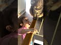 Cat Obsessed With His Sister Let's Her Carry Him Everywhere | The Dodo