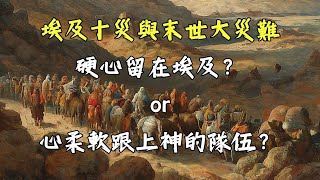 埃及十災與末世大災難 / 硬心留在埃及？ or 心柔軟跟上神的隊伍？