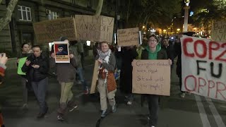 Greta Thunberg joins climate protests as COP29 starts | REUTERS