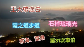 王大31次車泊｜阿里山 石棹 雲海 琉璃光｜霞之道步道｜冬茶採收季節