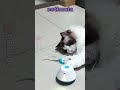 Sosirolo el juguete Interactivo para Gatos con diversión asegurada con 3 modos de juego.