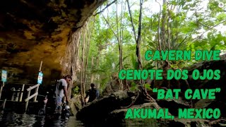 Cavern Dive at Cenote Dos Ojos, 