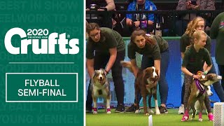 YKC Flyball - Final | Crufts 2020