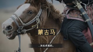 4K60帧《帝国时代4》体验历史-蒙古马