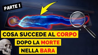 Cosa succede al corpo dopo la morte nella bara? Fenomeni cadaverici (Algor, Livor e Rigor Mortis)