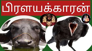 பிரளயக்காரன்- ஸ்ரீ சனீஸ்வர பகவான்  ஆன்மீகத் தொகுப்பு