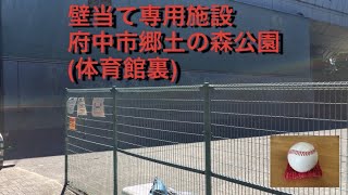 壁当て可能　府中市郷土の森博物館体育館裏　東京都府中市矢崎5-5