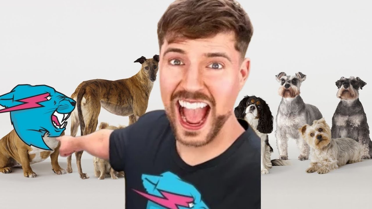 Rs Rank Dog Breeds Youtube