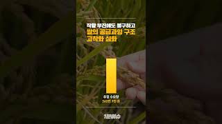 쌀 생산량은 왜 감소했을까? |1분이슈  #shrots