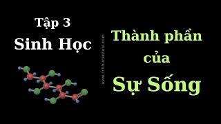 Phân Tử Sinh Học - Sinh Học - tập 3 | Tri thức nhân loại