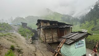 Best Life in The Nepali Mountain Village During The Rainy Season ।Best Compilation Video in Rain