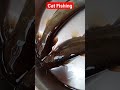 Cat Fishing#shorts #shortvideo #fishing #cat #cats #asmr