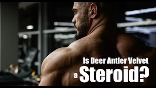 Is Deer Antler Velvet a Steroid? (Testosterone, Growth Factors and PEDs)