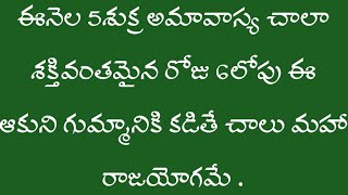 ఈనెల 5 శుక్ర అమావాస్య చాలా శక్తివంతమైన రోజు 6లోపు ఈ ఆకుని గుమ్మానికి కడితే మహా రాజయోగమే!