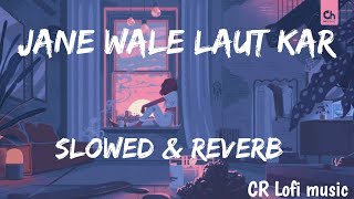 jane Wale Laut Kar (Slowed + Reverb) B Praak & Payal Dev