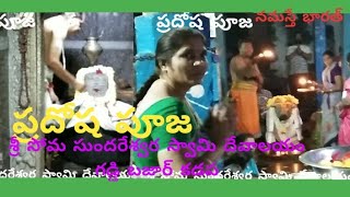 ప్రదోష పూజ, శ్రీ సోమసుందెశ్వర స్వామి దేవాలయం గడ్డి బజార్ కడప