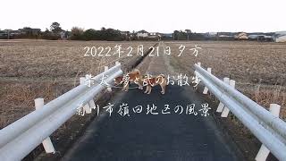 2022年2月21日夕方＿柴犬・夢と武のお散歩＿菊川市嶺田地区の風景