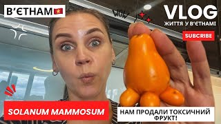 🇻🇳 В'ЄТНАМ. Токсичний фрукт Solanum mammosum — чи варто його їсти?