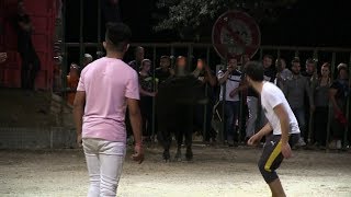 ENCIERRO TARASCON (13)