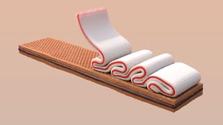 CG Snack - Houdini Flip Simulation [HEXP-19]