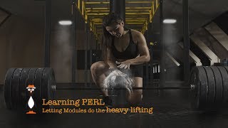 Using Modules in Perl to Format Numbers
