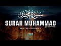 Heartfelt Quran Recitation of Surah Muhammad by Sheikh Masud | At Tilawah
