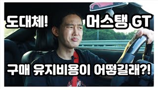 머스탱 구입유지비가 궁금해? 1년간비용 총정리