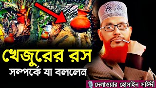 খেজুরের রস সম্পর্কে যা বলবেন | Delowar Hossain Saidi New Waz 2024 Saidi Waz Bangla Waz