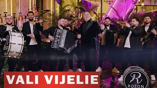 Vali Vijelie & Baboiash & Roson Band - Muzica nu te opri (Official Video) 2024