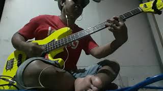 bass cover   