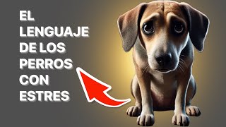 🚨10 Signos de ESTRES En Tu PERRO🚨Conocerlos Te Hará La Vida Mas Facil