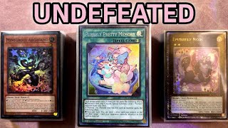 Undefeated Purrely Kashtira Deck Profile  - Brockton, MA Box Tournament  (Post ROTA) Yu-Gi-Oh!