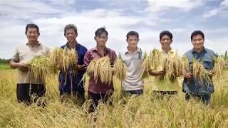 สารคดีกองทุนพัฒนาน้ำบาดาล - ตอน 4 (โครงการสำรวจและศึกษารูปแบบการพัฒนาแหล่งน้ำบาดาลฯ 84 พรรษา)