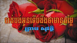 បាត់បង់អូនទើបដឹងថាមានតម្លៃ (ព្រាប សុវត្ថិ), Lyrics Audio, RHM CD Vol 378