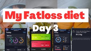 How I am losing fat with Diets | Day 3 #fatloss #fatlossjourney #fatlosstips #fatlosschallenge