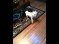 Cooper meets Ramsey