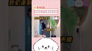 導盲犬，怎麼可以質疑狗狗的工作能力，哼#搞笑#娛樂#整蠱#國外#萬萬沒想到#shortvideo #shortsvideo #subscribe #shorts #short