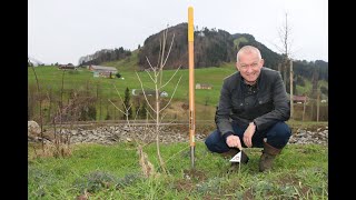 Beweisstück Unterhose - Simon Enzler erklärt wie es geht.