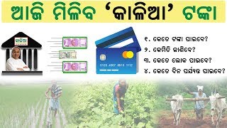 Aaji miliba KALIA Tanka : ସବୁ ତଥ୍ୟ ଏଥିରେ ଆପଣ ଜାଣିପାରିବେ